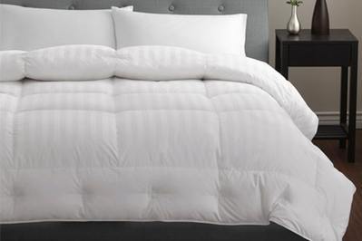Pacific Coast Hungarian White Goose Down Extra Warmth 680TC Comforter